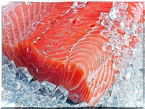 Salmon