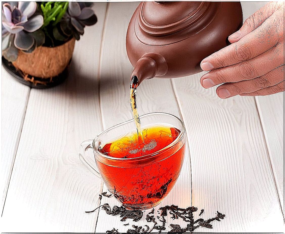 Tea, infusion and herbal tea: what are their differences?