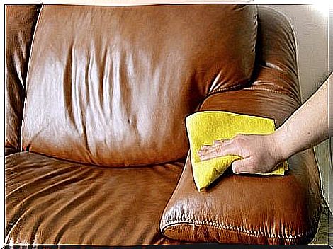 How to clean leather furniture with coconut oil