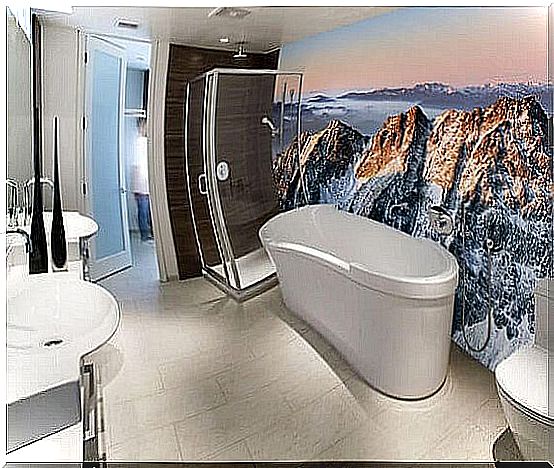 Decorate the bathroom with murals