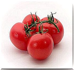 Tomatoes for pasta sauce with swordfish and black olives