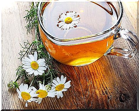 Chamomile (2)