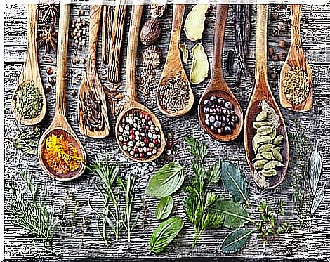 Discover the spices