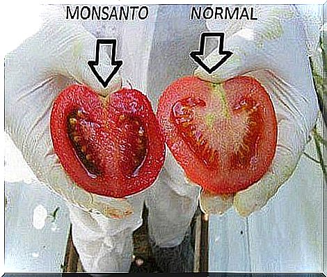 Monsanto