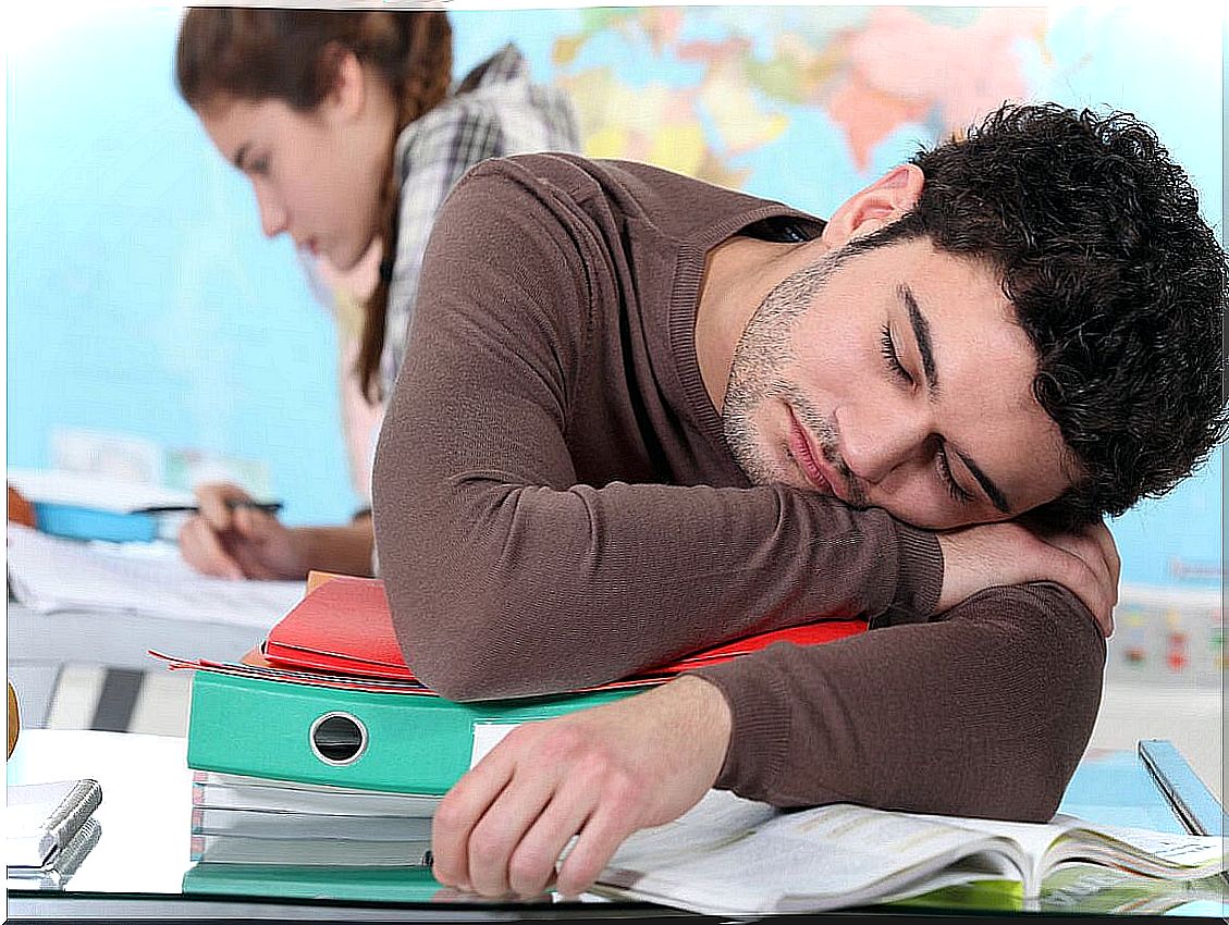 Bored student falls asleep.