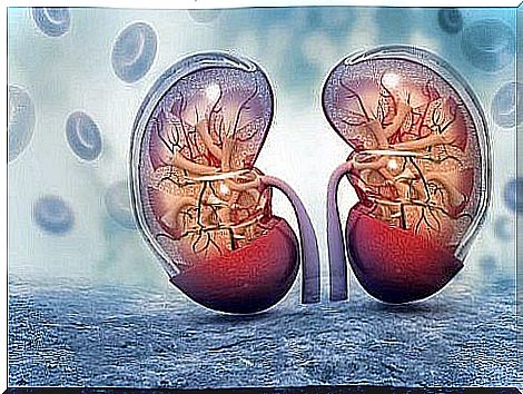 Renal insufficiency