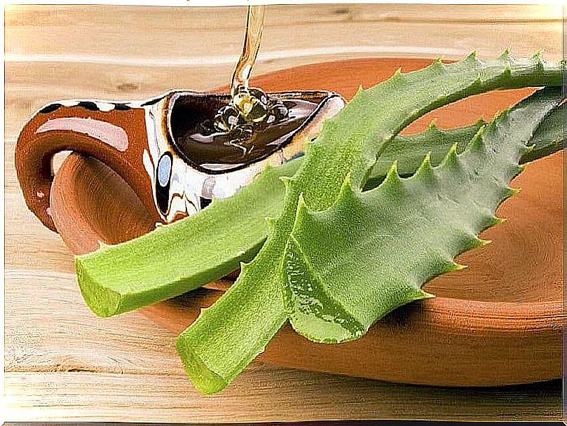 Aloe vera and honey to reduce scars