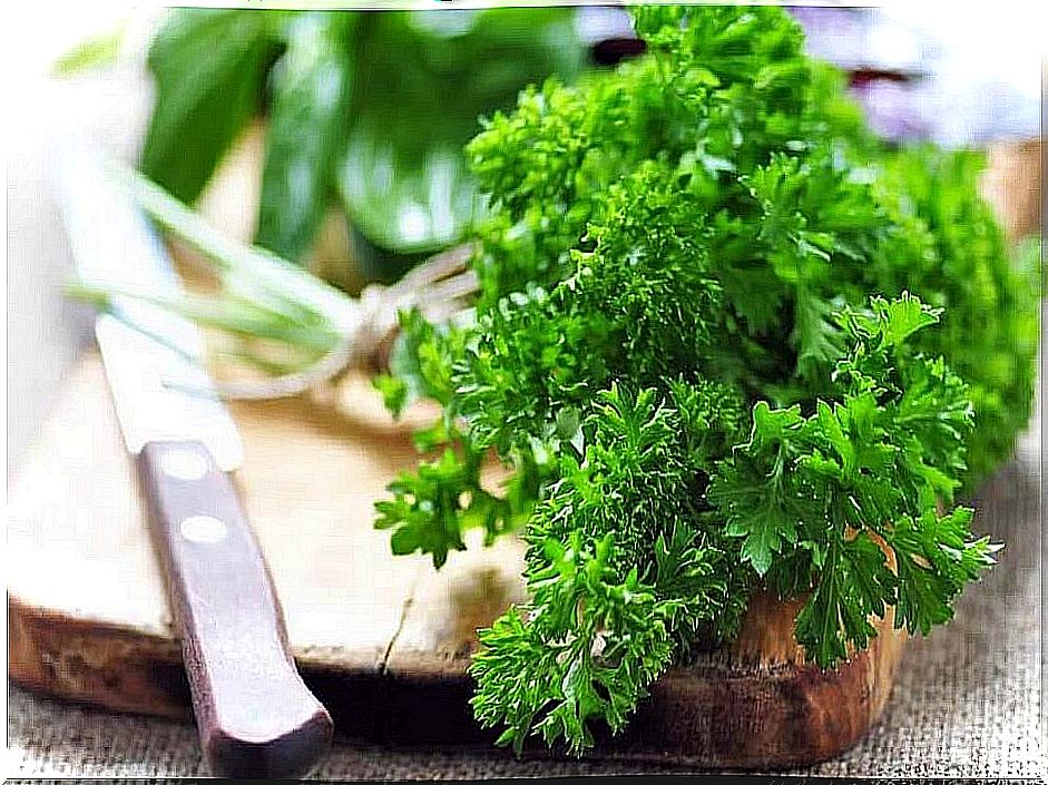 Parsley plant