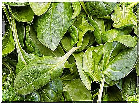 Spinach for the thyroid