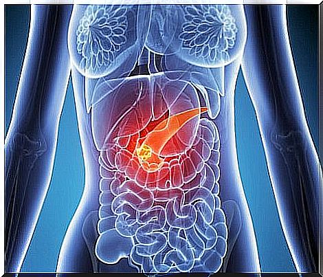 Pancreas in a woman's body.