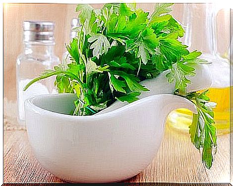 Why parsley drink helps cleanse the kidneys.