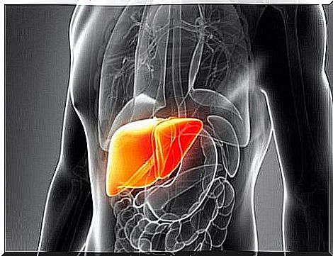 Physiology of the liver