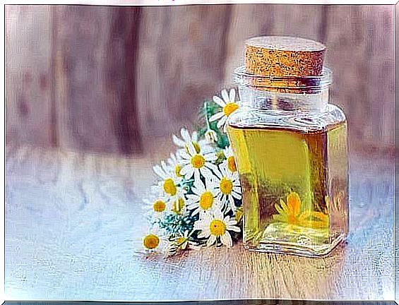 Chamomile oil