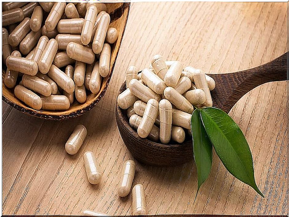 French pine extract in capsules