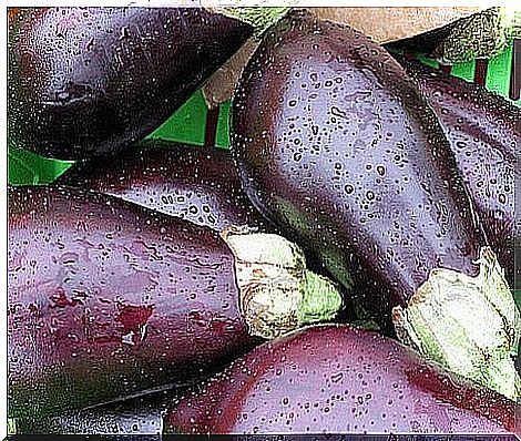 aubergines