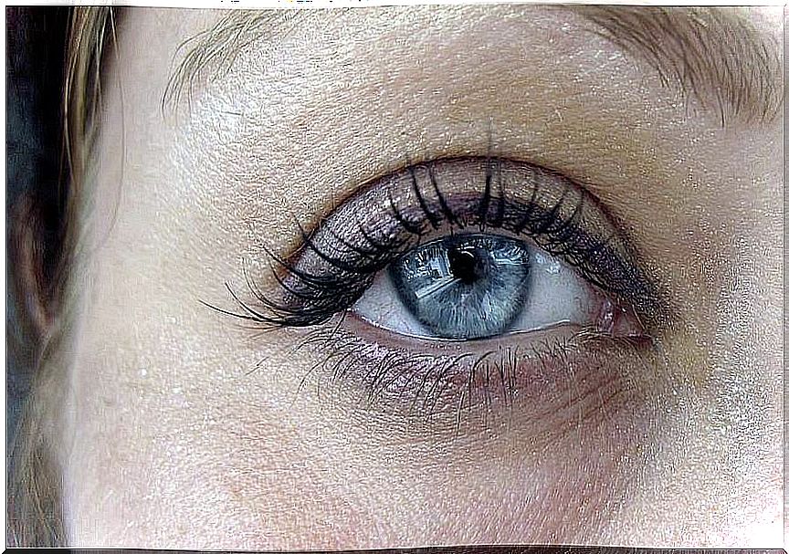 Blue eye of a woman.