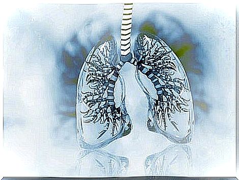 asthma: inflammation of the lung bronchi